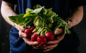 Pensamento Sustentável: como aproveitar todos os alimentos