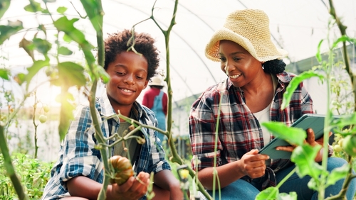 Mãe e filho que atuam com agricultura familiar